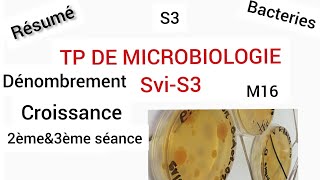 TP de MicrobiologieS32èmeamp3ème séanceRésuméDénombrementCroissance bactériennemilieu solidefsr [upl. by Hendricks]