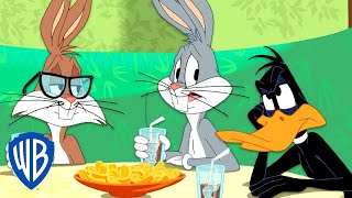 Looney Tunes en Latino  El nuevo amigo de Bugsy  WB Kids [upl. by Enwahs]