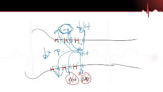 Neurons Part 4  Neuron Action Potential Repolarization AbsoluteRelative Refractory Periods [upl. by Eelame858]