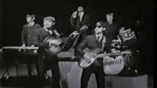 The Animals  Im Crying Live 1965 ♫♥ [upl. by Llerrehc798]