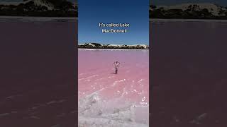 Pink lake Australia Eyre Peninsula South Australia Adventure Travel [upl. by Tara640]