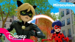 Är skurken kär i Adrien  Miraculous  Disney Channel Sverige [upl. by Alliuqa871]