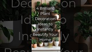 4 Brilliant Plant Decoration Ideas to Instantly Beautify Your Home houseplants indoorplants [upl. by Emoraj37]