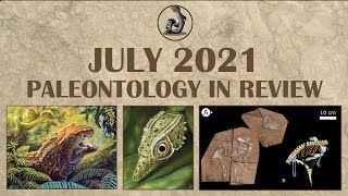 New Fossils and Paleontology July 2021 [upl. by Phelan412]