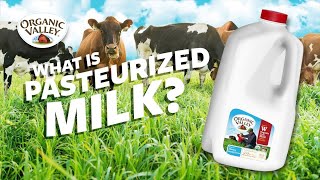 What is Pasteurized milk  Ask Organic Valley [upl. by Petronille]