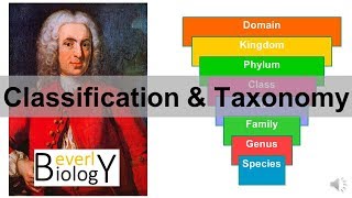 Classification and Taxonomy [upl. by Cadell275]