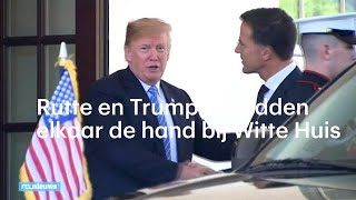 Rutte schudt hand Donald Trump bij Witte Huis  RTL NIEUWS [upl. by Ecargyram413]