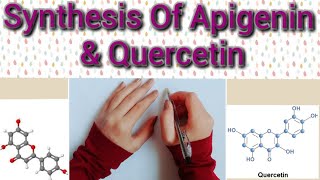 Detailed Mechanism For the Synthesis Of Apigenin and QuercetinDerivatives Of Flavones [upl. by Evvy939]