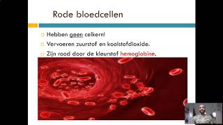 Bloedsomloop Bloedsamenstelling [upl. by Esinaj]