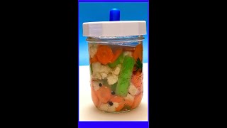 Fermented Italian Condiment Giardiniera 🥕🧄🥬🧅 [upl. by Euqinimod313]