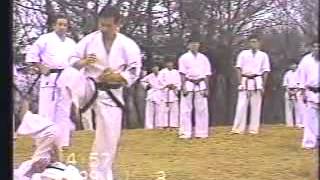 Okinawa Shorin ryu Karate [upl. by Luht]