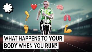 What Happens To Your Body When You Run 5k [upl. by Shellie677]