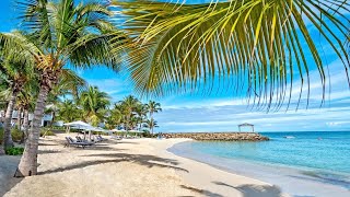 Hodges Bay Beach 🏝️  Antigua and Barbuda [upl. by Sanfo]