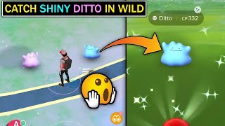 New Trick To Catch Shiny Ditto in Pokemon Go  Pokemon Go New Trick [upl. by Gaultiero]