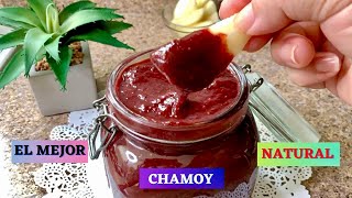 CÓMO HACER CHAMOY SALUDABLE  FÁCIL CON FIBRA NATURAL  DELICIOSO chamoy saludable facil [upl. by Allekram]