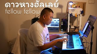 fellow fellow  ดาวหางฮัลเลย์ Halley’s Comet  Piano cover [upl. by Sipple]