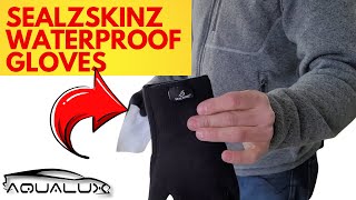 Seal Skinz Waterproof Gloves  Best Waterproof Gloves For Auto Detailing In 2021 [upl. by Hermy]