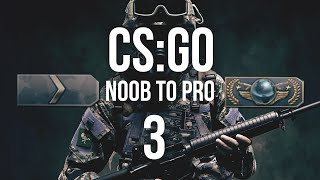 Unsportliches Verhalten  Counterstrike Global Offensive  Vom Noob zum Pro 003 [upl. by Baniaz]