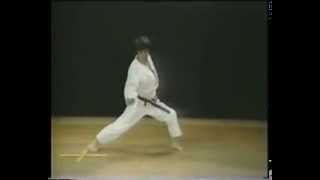 9 Bassai Dai Kata Faixa Marron Shotokan Karate [upl. by Jordanna33]