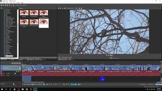 How to Set the DurationLength of a Clip on the Timeline in Vegas Pro [upl. by Enaenaj]