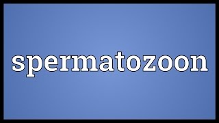 Spermatozoon Meaning [upl. by Haiel208]