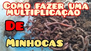 Como fazer Um minhocario multiplicar as minhocas pescaria [upl. by Hallie]