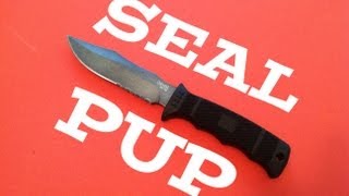 SOG Seal Pup Knife Review One for the Hall of Champions [upl. by Lesna201]