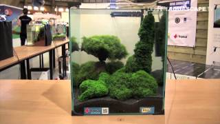 Aquascaping  Aquarium Ideas from ZooBotanica 2012 part 8 [upl. by Gayelord]