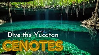 Exploring Hidden Wonders Yucatan Cenotes Adventure [upl. by Kruger]