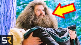 Harry Potter Theory Hagrid Was A Death Eater [upl. by Auoz]