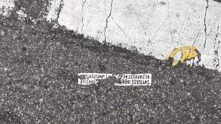 Genuine Toynbee Tile  Strange and Mysterious Symbols [upl. by Bentley]