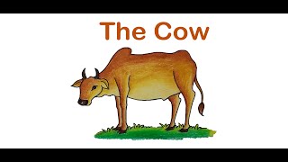 How to Draw a Cow Step by Step [upl. by Rosenwald]