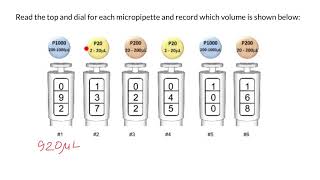 How to read and set micropipette [upl. by Paluas]