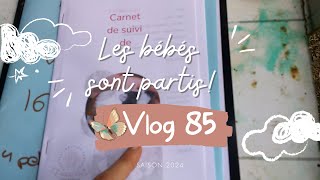 Vlog 85  Attaque de renard évitée amp Les petits sont partis [upl. by Vassaux]