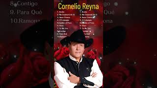 Que Se Junten Nuestros Brazos  Cornelio Reyna cornelioreyna latino  música [upl. by Alwitt]