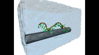 Selfassembly of a Carbonnanotube DNA hybrid [upl. by Groeg]