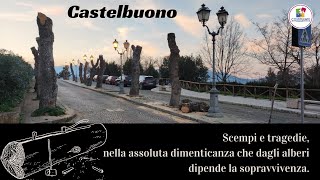 Castelbuono capitozzature degli alberi nel viale sotto il Castello dei Ventimiglia febbraio 2024 [upl. by Jayne]