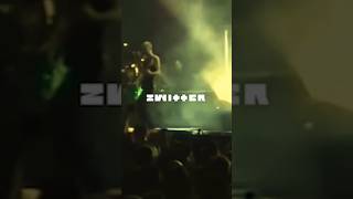 Смысл Zwitter Rammstein за 35 секунд rammstein смысл performance [upl. by Carlee]