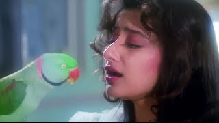 Lata Mangeshkar 4K Song  Tota Tota Sajan Se Kehna  First Love Letter  Manisha Koirala [upl. by Lemuel172]