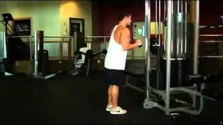 Triceps  Triceps Pushdown  VBar Attachment Exercise Guide [upl. by Eceined]