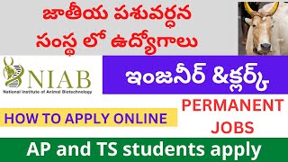 HYDERABAD NIAB recruitment 2024  NIAB Clerk Jobs online apply process in Telugu 2024 NIAB jobs [upl. by Ahsiekam]