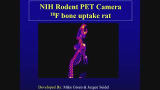 Use of Positron Emission Tomography PET in Pharmacokinetics with Dr Robert Innis [upl. by Hen]