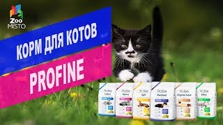 Корм для котов Profine  Обзор корма для котов Profine [upl. by Mirabelle159]