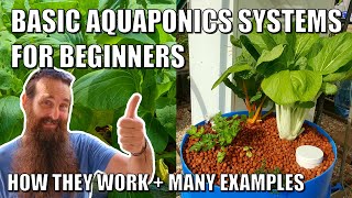 Basic Aquaponics Systems for Beginners  How they Work amp Design Ideas [upl. by Annairam]