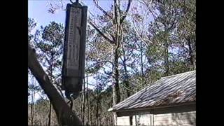 Monroeville Alabama Deer Hunt [upl. by Ailati472]