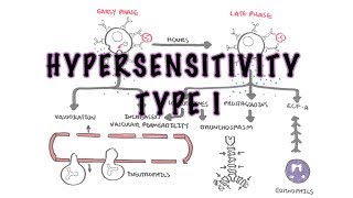 Hypersensitivity Type I reaction Immediate or allergic reaction  pathophysiology [upl. by Woodring]