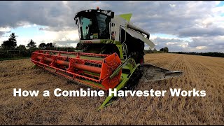 How a Combine Harvester Works [upl. by Yelnahs]