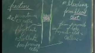 Integrative Biology 131  Lecture 06 Skeletal System [upl. by Saixela744]