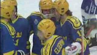 HockeyVM 1989  Det bästa från Tre Kronor [upl. by Mundy]