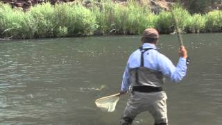 Dry Fly Fishing on a Cuthroat Leader [upl. by Eniamrahc]